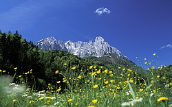 Aussicht geniessen beim Wandern, Radeln, Baden ...